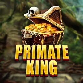 game logo by Red Tiger Gaming on spinationals.eu